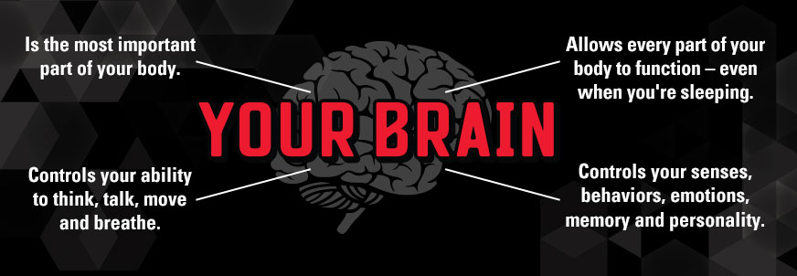 Image of the brain