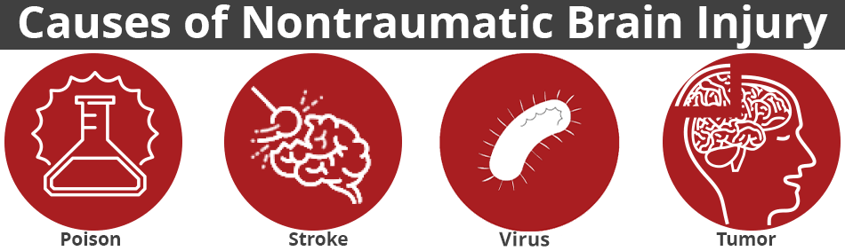 Causes of nontraumatic brain injury.